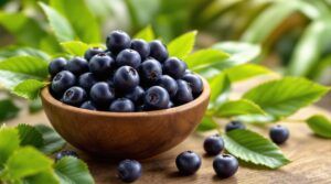 Benefits of Acai berry Supplements